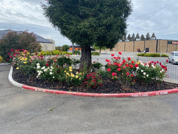 Oasis Inn Sacramento- Elk Grove Main image